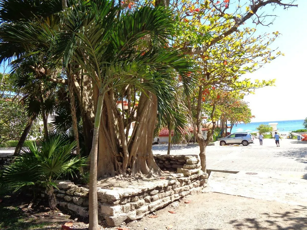 Casa Sonrisas Lejlighed Playa del Carmen